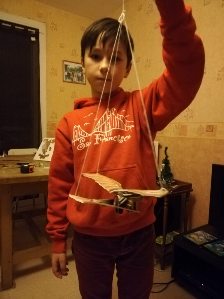 la machine volante de Leonard de Vinci